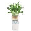 LECHUZA Plantenbak Cubico 30 ALL-IN-ONE hoogglans wit 18181