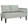 vidaXL Chaise longue met kussens fluweel lichtgrijs
