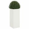 Miniatuurafbeelding van het product 4 van 11