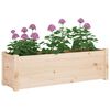 vidaXL Plantenbakken 2 st 100x31x31 cm massief grenenhout