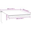 vidaXL Luifel handmatig uittrekbaar en LED 300x250 cm antraciet en wit