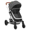 vidaXL Kinderwagen 2-in-1 aluminium donkergrijs
