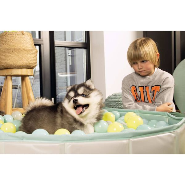 Beeztees Puppy ballenbad FUNCHIE
