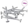 vidaXL Houten Schroeven 1900 st Zilver Staal