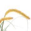 vidaXL Kunstgrasplant met kattenstaart 110 cm