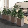 Miniatuurafbeelding van het product 2 van 8
