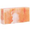 vidaXL Zoutstenen 10 st Roze 20 x 10 x 5 cm Steenzout