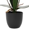 Miniatuurafbeelding van het product 3 van 5