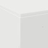 vidaXL Opbergbedframe met opslag Wit 160 x 200 cm Bewerkt hout