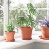 Miniatuurafbeelding van het product 4 van 9