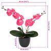 Miniatuurafbeelding van het product 5 van 5