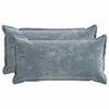 vidaXL Kussensloop 2 st HOUTEN Lichtblauw 40 x 80 cm Chenille Stof