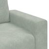 vidaXL Fauteuil 60 cm fluweel lichtgrijs