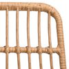 vidaXL Tuinstoelen 2 st 48x62 84 cm PE-rattan