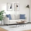 vidaXL Sofa Kussens 2 stuks Blauw 50 x 50 cm Cordstof