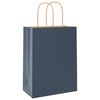vidaXL Papieren zakjes 250 st met hengsels 21x11x28 cm blauw