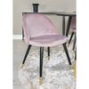 Venture Home Eetkamerstoelen 2 st messing fluweel zwart oudroze