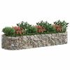 vidaXL Gabion plantenbak verhoogd 300x100x50 cm gegalvaniseerd ijzer