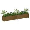 vidaXL Plantenbakken 2 st 200x31x31 cm massief grenenhout honingbruin