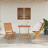 vidaXL Vouw Bistro Set 3 pcs Bruin Massief Acaciahout