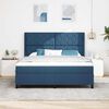 vidaXL Boxspring bed met matras met hoofdeinde Blauw 180 x 200 cm Stof