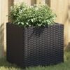 vidaXL Plantenbakken 2 st 36x30x32 cm poly rattan zwart