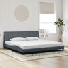 vidaXL Bedframe met LED zonder matras "Hanko" fluweel donkergrijs 200x200 cm