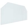 vidaXL Vuurplaats Glazen Plaat Doorzichtig 120 x 60 cm Glas
