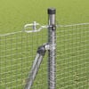 Miniatuurafbeelding van het product 5 van 18