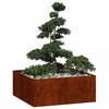 vidaXL Plantenbak roestig 100x100x40 cm weervast staal