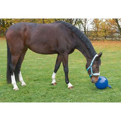 auteur Ontaarden cocaïne Kerbl Paarden speelbal blauw 25 cm 32399 online kopen | vidaXL.be