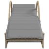 vidaXL Ligstoelen 2 st met kussens poly rattan beige