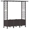 vidaXL Verhoogd Bed met Trellis en Dak Bruin 162,5 x 40 x 142 cm PP