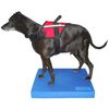 FitPAWS Dierenbalansmat 38x46x5 cm blauw