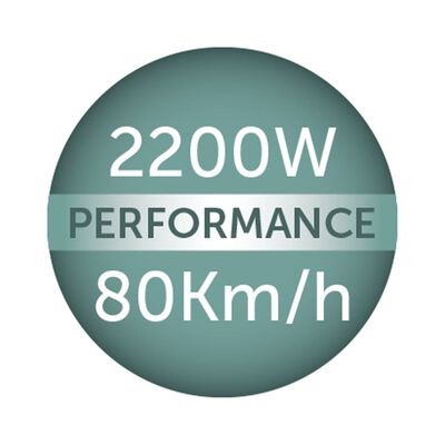 REMINGTON Föhn Thermacare Pro 2200 2200 w zwart