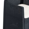 vidaXL Tuinstoelen 2 st met kussen rattan-look kunststof antraciet