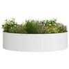 vidaXL Plantenring 5 pcs Wit 80 x 80 x 20 cm Koudgewalst staal