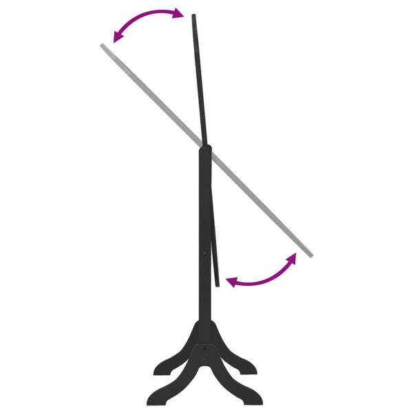 vidaXL Spiegel vrijstaand 45,5x47,5x160 cm bewerkt hout zwart