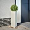 Miniatuurafbeelding van het product 2 van 12