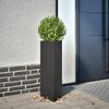Miniatuurafbeelding van het product 2 van 10