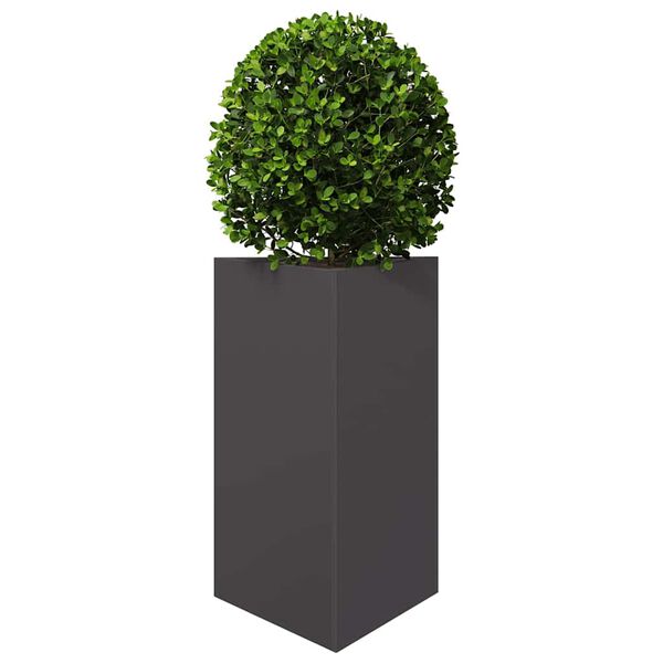 Productafbeelding 4 van 12