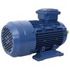 vidaXL Elektromotor 3 fase 2,2 kW/3 pk 2-polig 2840 rpm aluminium
