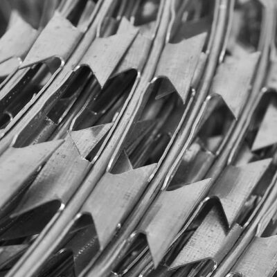 vidaXL Scheermesprikkeldraad concertina 60 m gegalvaniseerd staal
