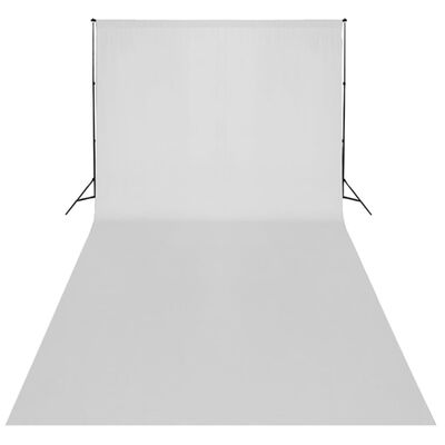 vidaXL Studioset met witte achtergrond en lampen 600x300 cm