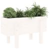 Miniatuurafbeelding van het product 3 van 9