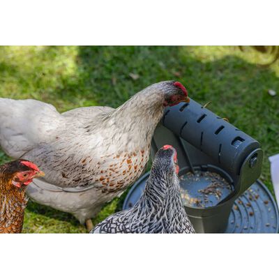 Specialiteit Salie wassen Beeztees Speeltoren voor kippenvoer 30x30x30 cm grijs online kopen |  vidaXL.be