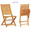 vidaXL Vouw Bistro Set 3 pcs Bruin Massief Acaciahout