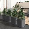 Miniatuurafbeelding van het product 2 van 8