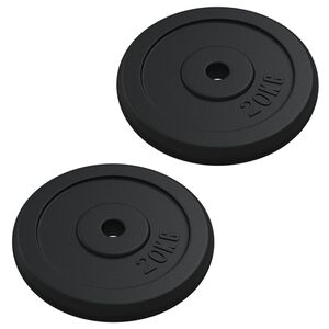 vidaXL Halterschijf 40 kg gietijzer
