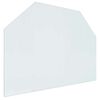 vidaXL Vuurplaats Glazen Plaat Doorzichtig 80 x 60 cm Glas